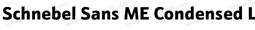 Schnebel Sans ME Condensed Light字体转换
